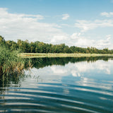 Take Me to the Lakes - Leipzig Edition