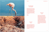 Someplace Slower – Slow Travel Adventures Around the World