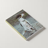 Walking Wild – Berlin mit Hund: Dein Guide für Abenteuer mit dem Vierbeiner