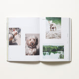 Walking Wild – Berlin mit Hund: Dein Guide für Abenteuer mit dem Vierbeiner