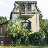 Walking Wild – Berlin mit Hund: Dein Guide für Abenteuer mit dem Vierbeiner