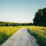 Take Me to the Lakes - Bicycle Edition München