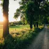 Take Me to the Lakes - Bicycle Edition München