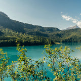 Take Me to the Lakes - Allgäu Edition