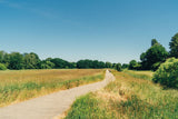 SAMPLE - Take Me to the Lakes - Bicycle Edition Berlin