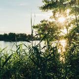 Take Me to the Lakes - Frankfurt Edition