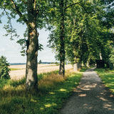 Take Me to the Lakes - Frankfurt Edition