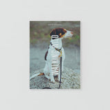 SAMPLE - Walking Wild - Berlin mit Hund