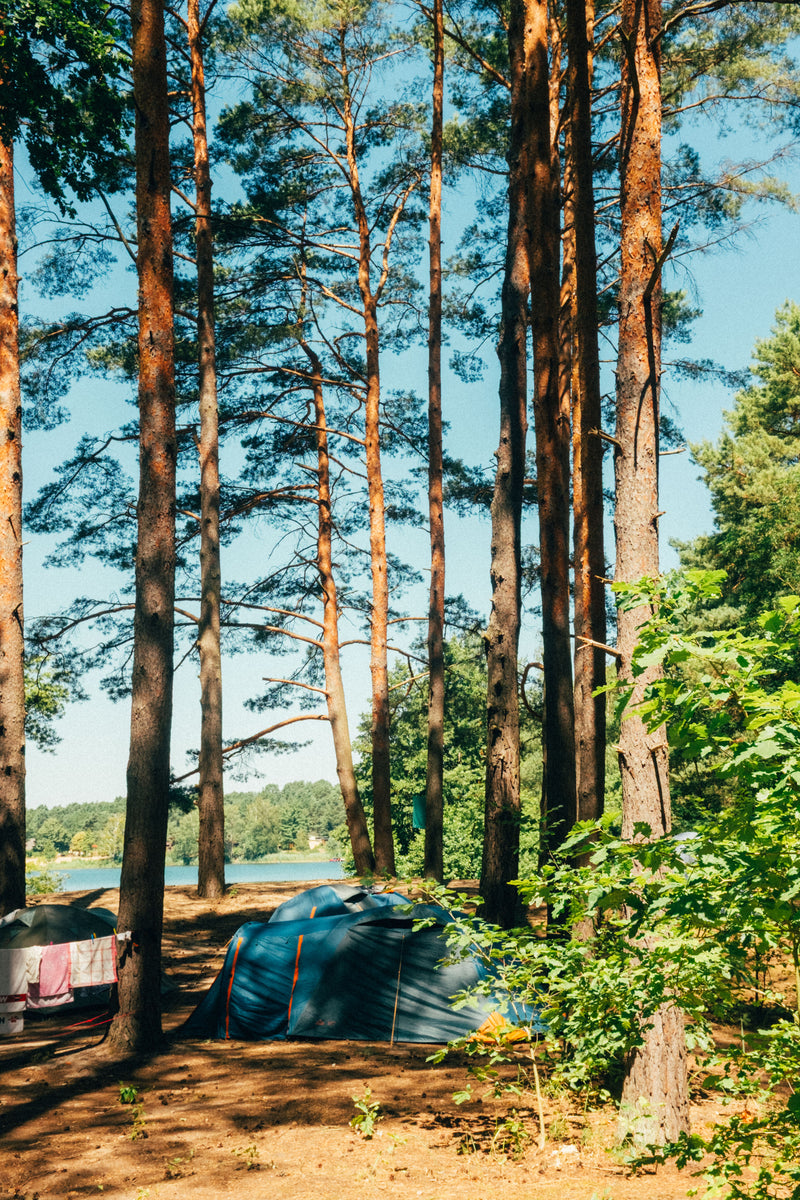 Berlin Camping Edition – 25 naturnahe Campingplätze rund um Berlin – The  Gentle Temper