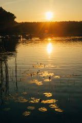 Take Me to the Lakes - Camping Edition Berlin