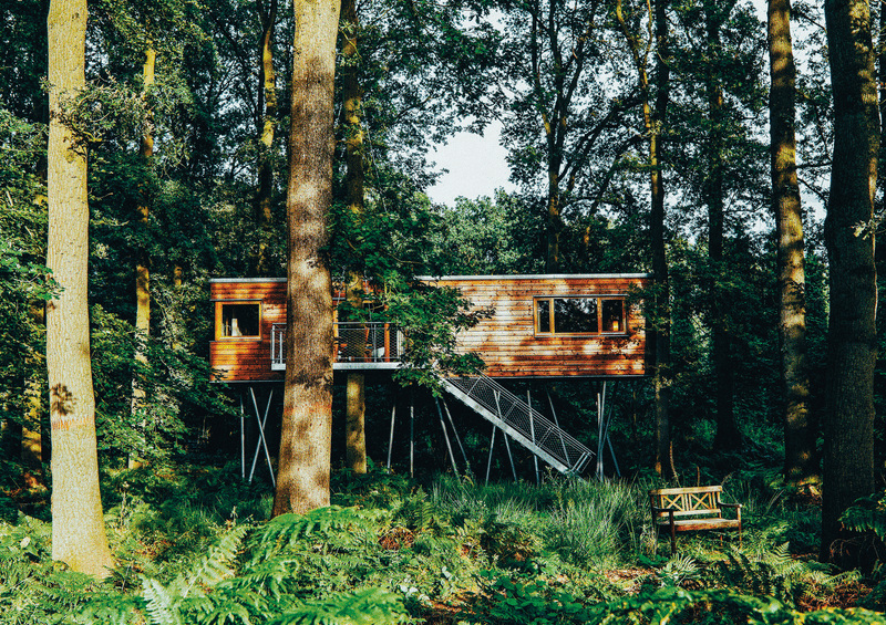 Take Me to the Lakes – Hamburg Edition