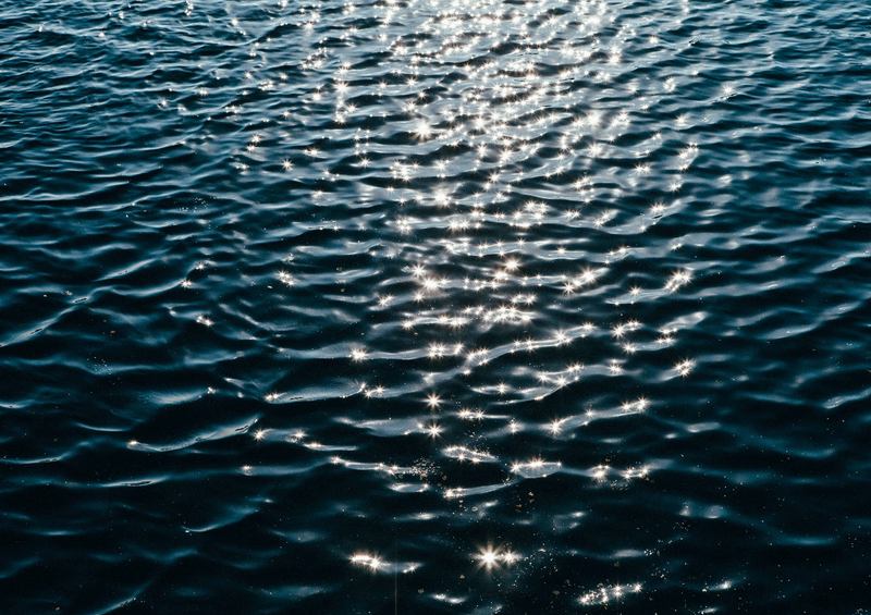Take Me to the Lakes – Hamburg Edition