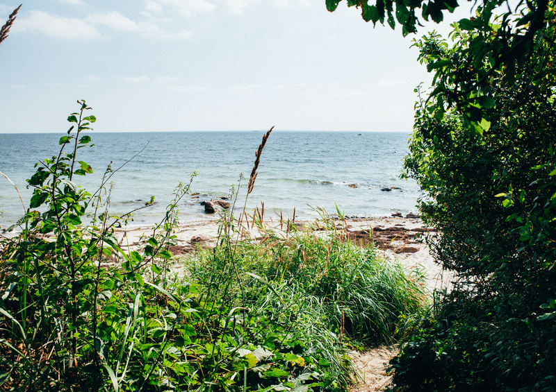 Take Me to the Lakes - Hamburg Edition