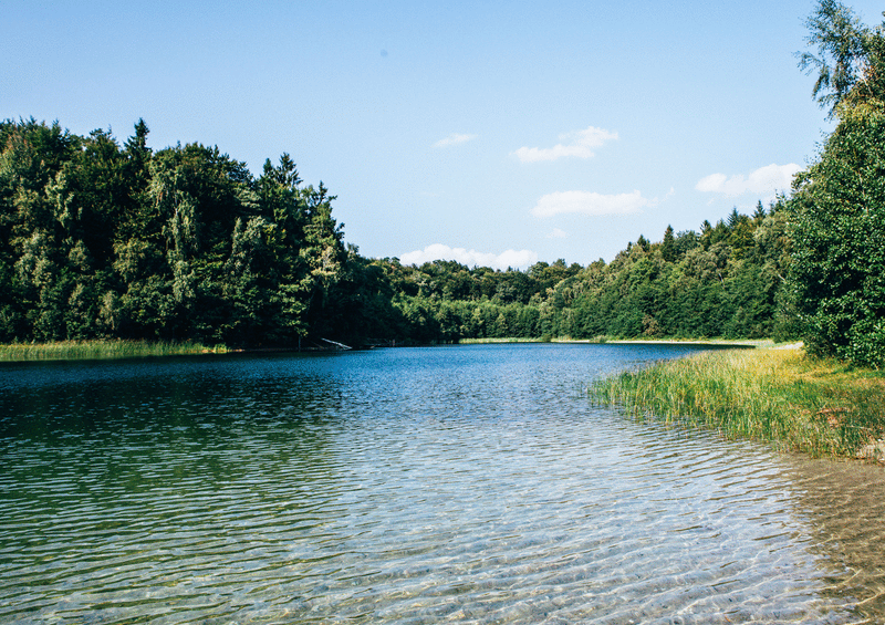 Take Me to the Lakes - Hamburg Edition