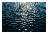 Prüßsee Hamburg - Wasseroberfläche