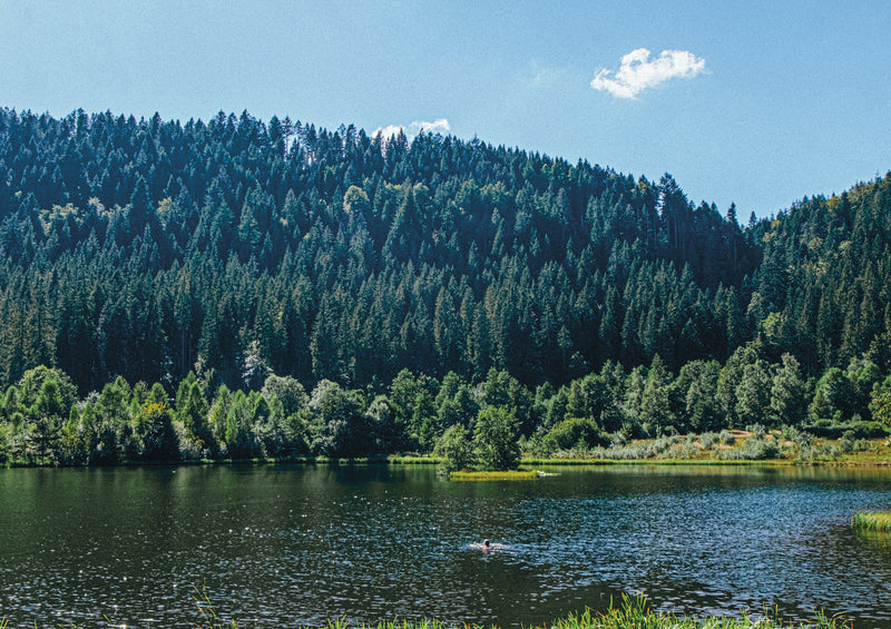 SAMPLE - Take Me to the Lakes - Schwarzwald Edition