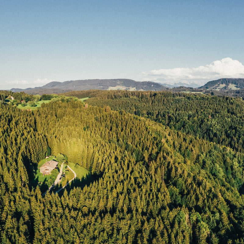 Take Me to the Lakes - Allgäu Edition