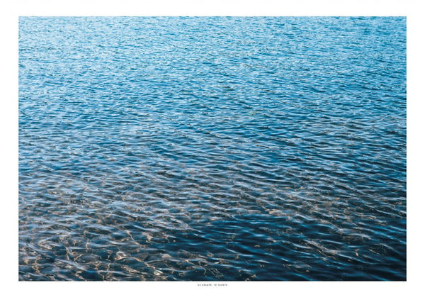 Flakensee Berlin - Wasseroberfläche