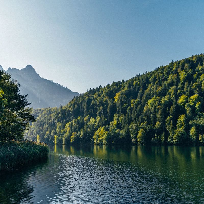 Take Me to the Lakes - Allgäu Edition