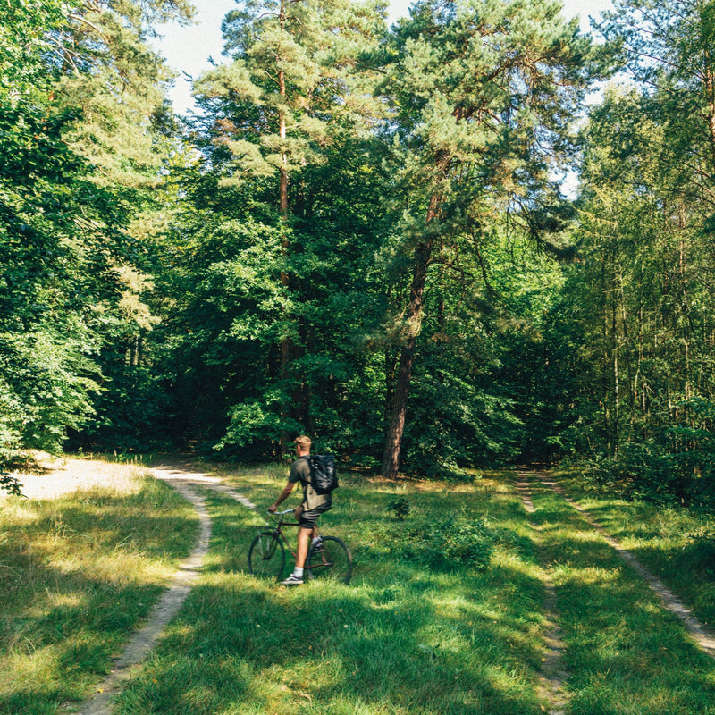 Take Me to the Lakes - Bicycle Edition Berlin