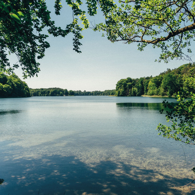 Take Me to the Lakes - Bicycle Edition Berlin