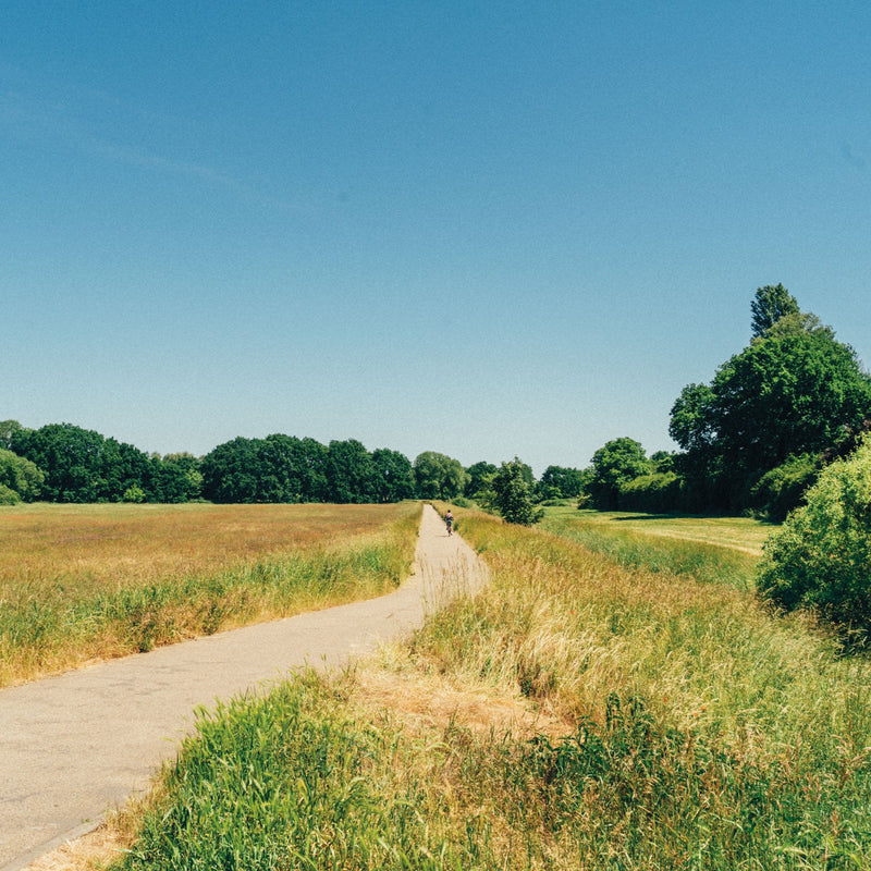 Take Me to the Lakes - Bicycle Edition Berlin