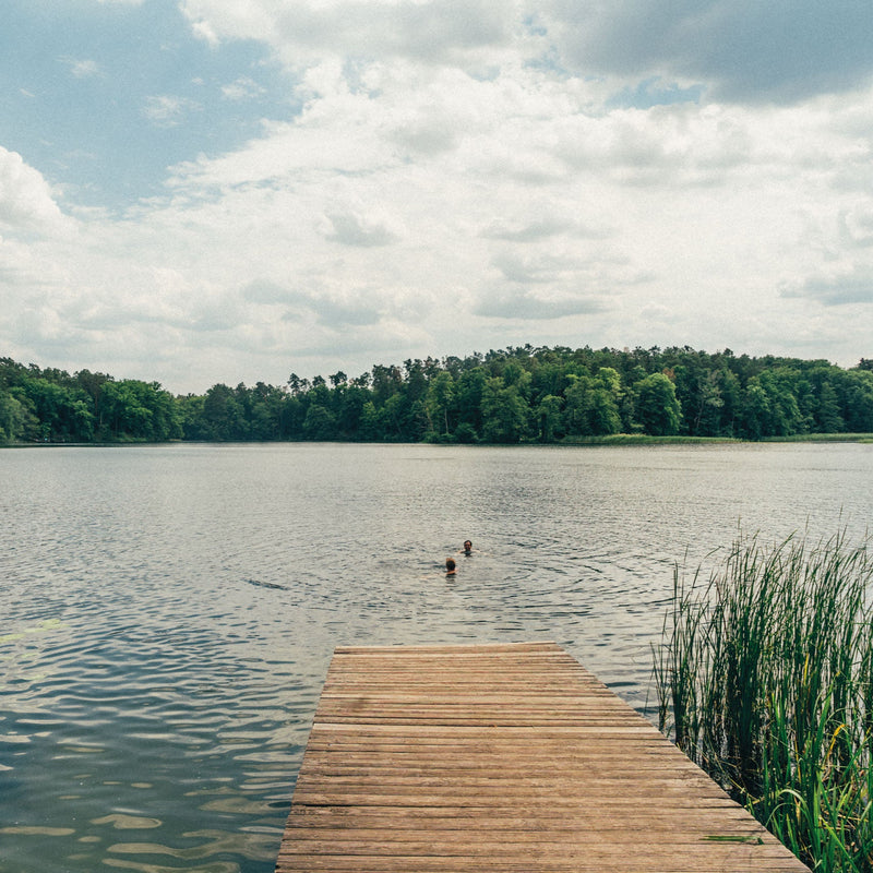 Take Me to the Lakes - Bicycle Edition Berlin