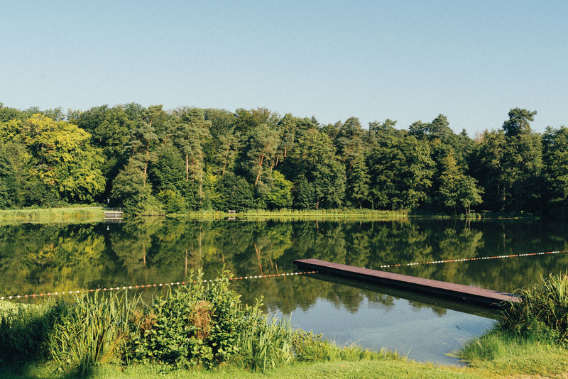 SAMPLE - Take Me to the Lakes - Frankfurt Edition