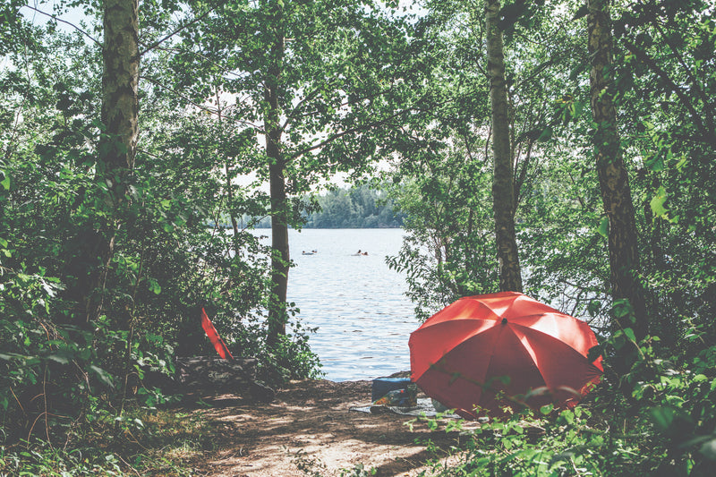 Take Me to the Lakes - Düsseldorf Edition