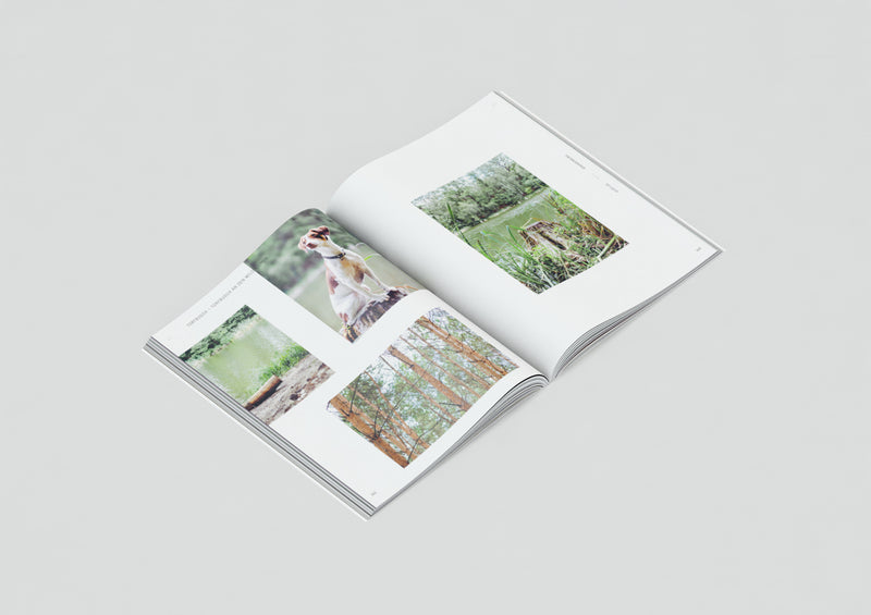 SAMPLE - Walking Wild - Berlin mit Hund